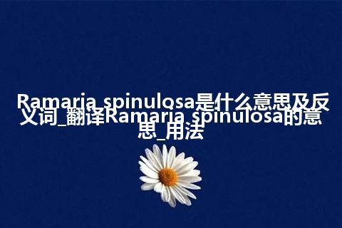 Ramaria spinulosa是什么意思及反义词_翻译Ramaria spinulosa的意思_用法