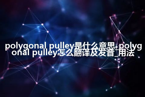polygonal pulley是什么意思_polygonal pulley怎么翻译及发音_用法