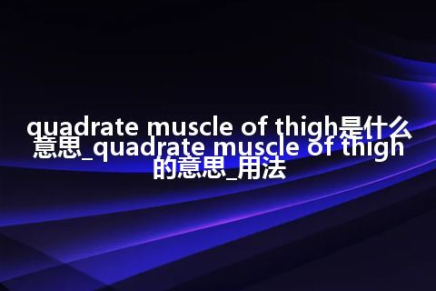 quadrate muscle of thigh是什么意思_quadrate muscle of thigh的意思_用法