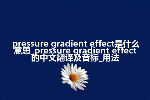 pressure gradient effect是什么意思_pressure gradient effect的中文翻译及音标_用法