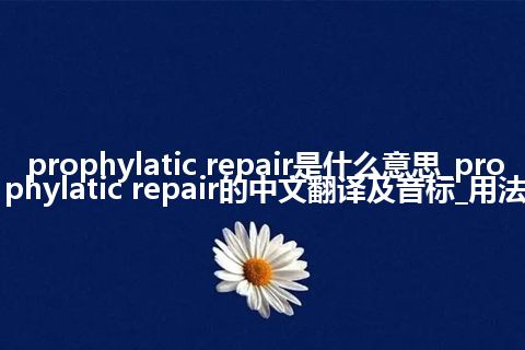 prophylatic repair是什么意思_prophylatic repair的中文翻译及音标_用法
