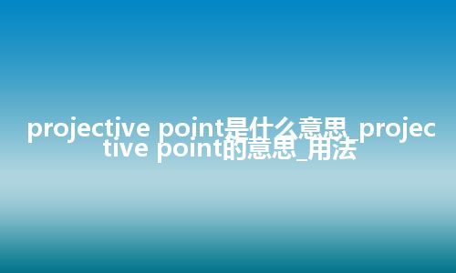 projective point是什么意思_projective point的意思_用法