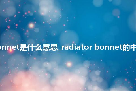 radiator bonnet是什么意思_radiator bonnet的中文释义_用法