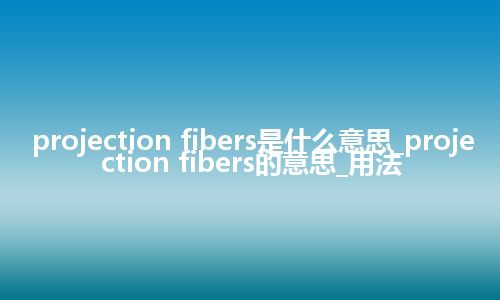 projection fibers是什么意思_projection fibers的意思_用法