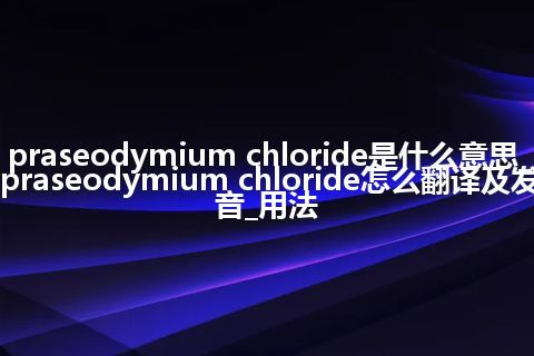 praseodymium chloride是什么意思_praseodymium chloride怎么翻译及发音_用法