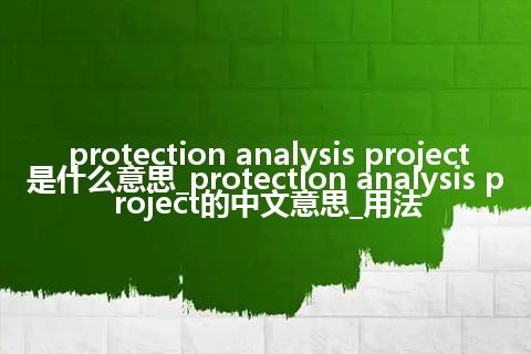 protection analysis project是什么意思_protection analysis project的中文意思_用法