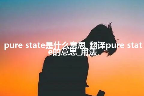 pure state是什么意思_翻译pure state的意思_用法