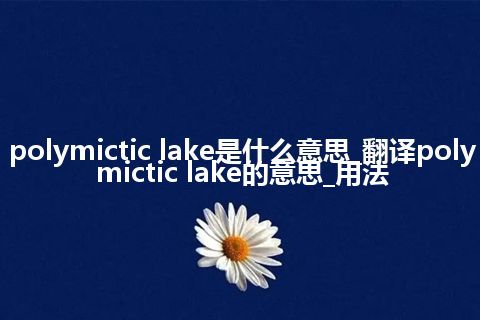 polymictic lake是什么意思_翻译polymictic lake的意思_用法