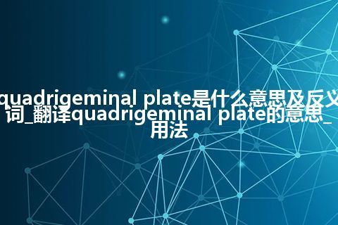 quadrigeminal plate是什么意思及反义词_翻译quadrigeminal plate的意思_用法