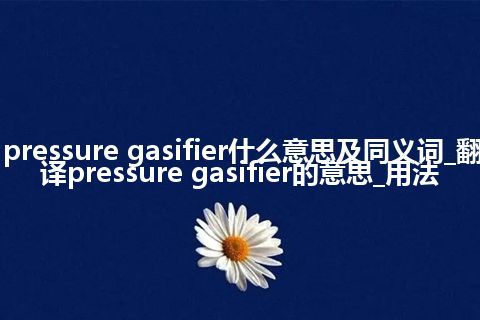 pressure gasifier什么意思及同义词_翻译pressure gasifier的意思_用法