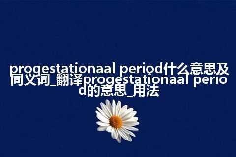 progestationaal period什么意思及同义词_翻译progestationaal period的意思_用法