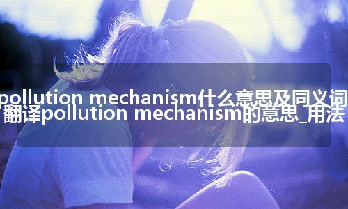pollution mechanism什么意思及同义词_翻译pollution mechanism的意思_用法