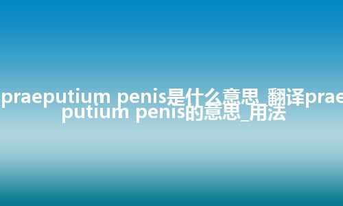 praeputium penis是什么意思_翻译praeputium penis的意思_用法