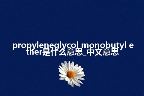 propyleneglycol monobutyl ether是什么意思_中文意思