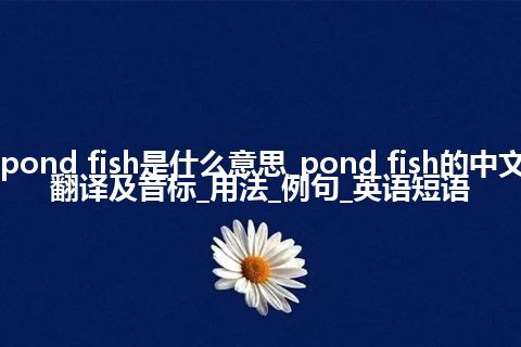 pond fish是什么意思_pond fish的中文翻译及音标_用法_例句_英语短语