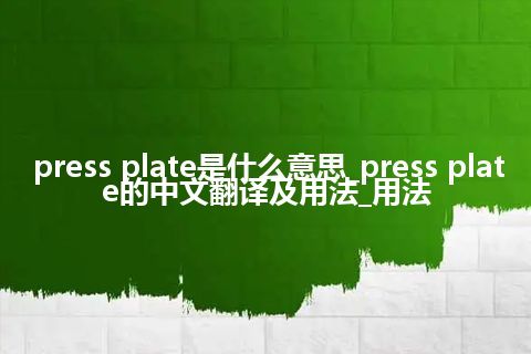 press plate是什么意思_press plate的中文翻译及用法_用法