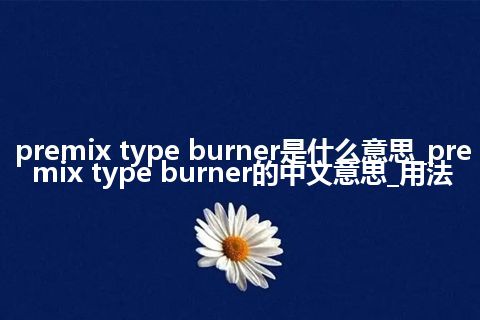premix type burner是什么意思_premix type burner的中文意思_用法