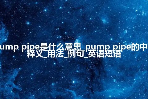 pump pipe是什么意思_pump pipe的中文释义_用法_例句_英语短语