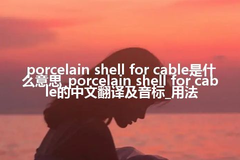 porcelain shell for cable是什么意思_porcelain shell for cable的中文翻译及音标_用法