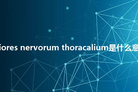 rami anteriores nervorum thoracalium是什么意思_中文意思