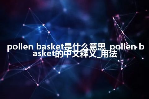 pollen basket是什么意思_pollen basket的中文释义_用法