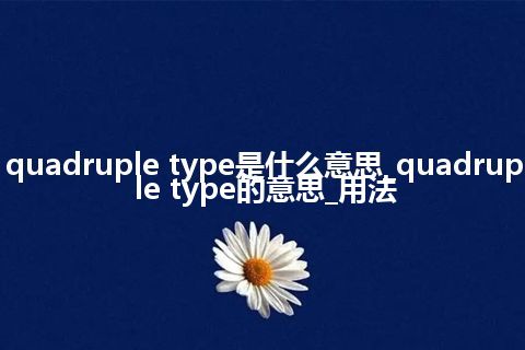 quadruple type是什么意思_quadruple type的意思_用法