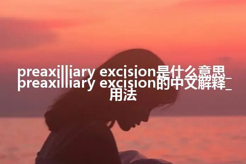 preaxilliary excision是什么意思_preaxilliary excision的中文解释_用法