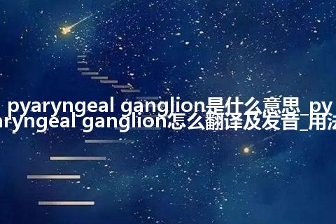 pyaryngeal ganglion是什么意思_pyaryngeal ganglion怎么翻译及发音_用法