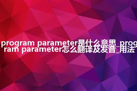 program parameter是什么意思_program parameter怎么翻译及发音_用法