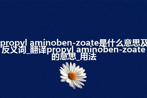 propyl aminoben-zoate是什么意思及反义词_翻译propyl aminoben-zoate的意思_用法