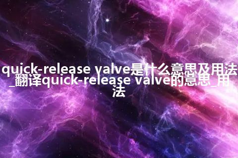 quick-release valve是什么意思及用法_翻译quick-release valve的意思_用法