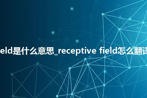 receptive field是什么意思_receptive field怎么翻译及发音_用法