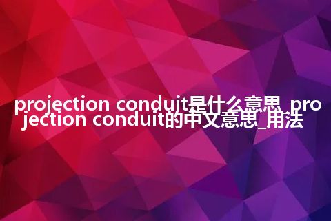 projection conduit是什么意思_projection conduit的中文意思_用法