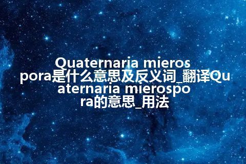 Quaternaria mierospora是什么意思及反义词_翻译Quaternaria mierospora的意思_用法