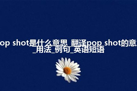 pop shot是什么意思_翻译pop shot的意思_用法_例句_英语短语