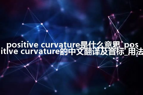 positive curvature是什么意思_positive curvature的中文翻译及音标_用法