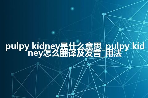 pulpy kidney是什么意思_pulpy kidney怎么翻译及发音_用法