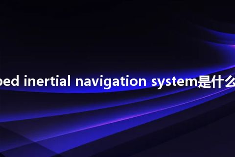 radio-equipped inertial navigation system是什么意思_中文意思