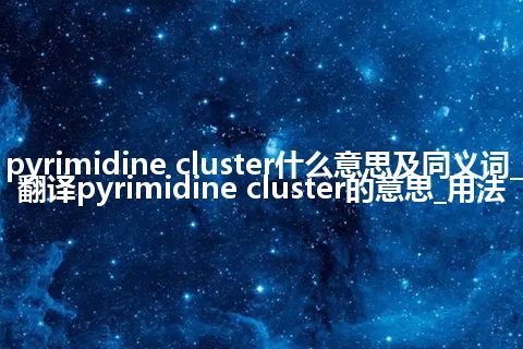 pyrimidine cluster什么意思及同义词_翻译pyrimidine cluster的意思_用法