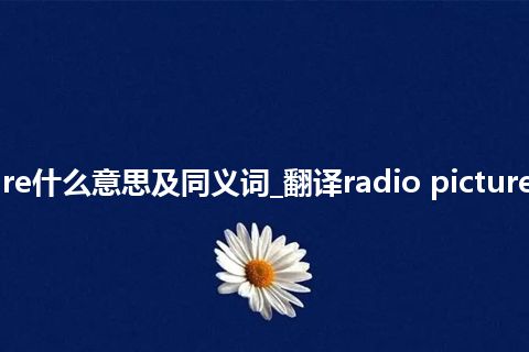 radio picture什么意思及同义词_翻译radio picture的意思_用法