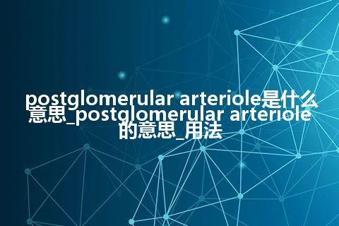 postglomerular arteriole是什么意思_postglomerular arteriole的意思_用法