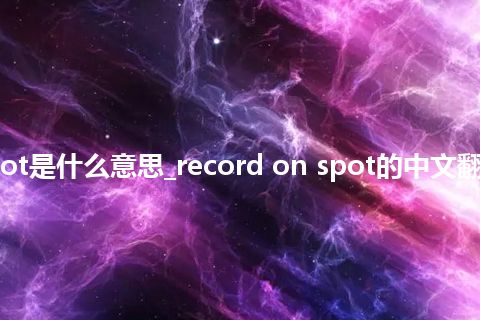 record on spot是什么意思_record on spot的中文翻译及音标_用法