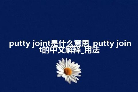 putty joint是什么意思_putty joint的中文解释_用法
