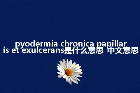 pyodermia chronica papillaris et exulcerans是什么意思_中文意思