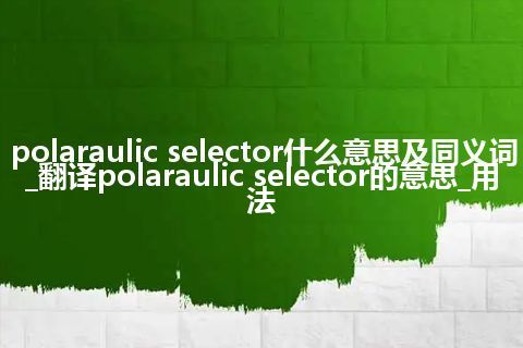 polaraulic selector什么意思及同义词_翻译polaraulic selector的意思_用法