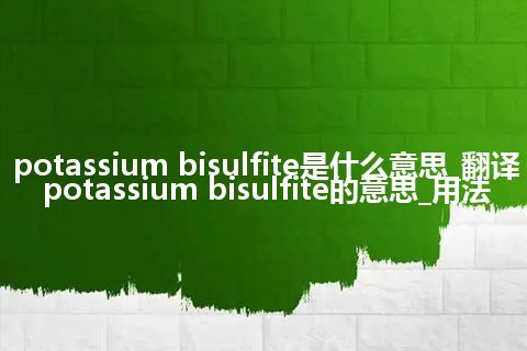 potassium bisulfite是什么意思_翻译potassium bisulfite的意思_用法
