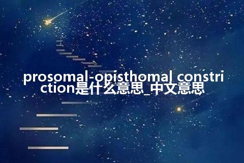 prosomal-opisthomal constriction是什么意思_中文意思