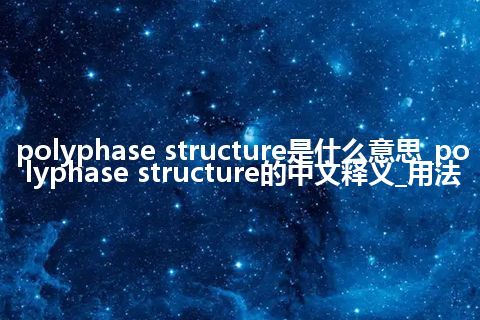 polyphase structure是什么意思_polyphase structure的中文释义_用法