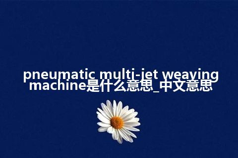 pneumatic multi-jet weaving machine是什么意思_中文意思