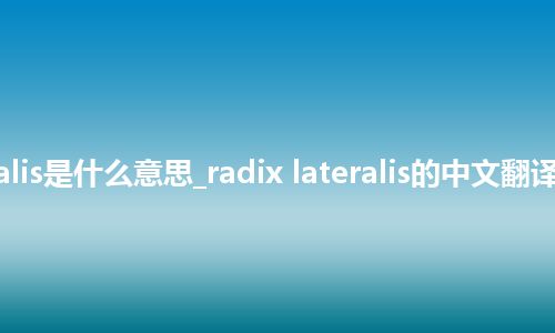 radix lateralis是什么意思_radix lateralis的中文翻译及音标_用法